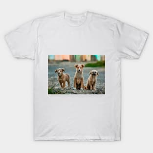 Three Little Dogs T-Shirt